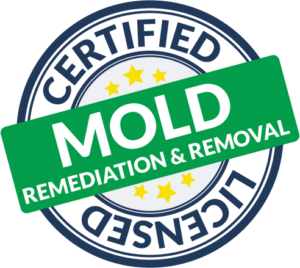 Certified Mold Remediation & Removal specialists at Restoration Complete