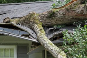 Storm damage Remediation Atlanta