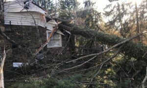 storm damage services