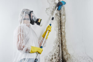 Mold & Water Damage Restoration