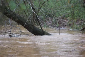 flooding repair in big creek alpharetta, ga by restoration complete