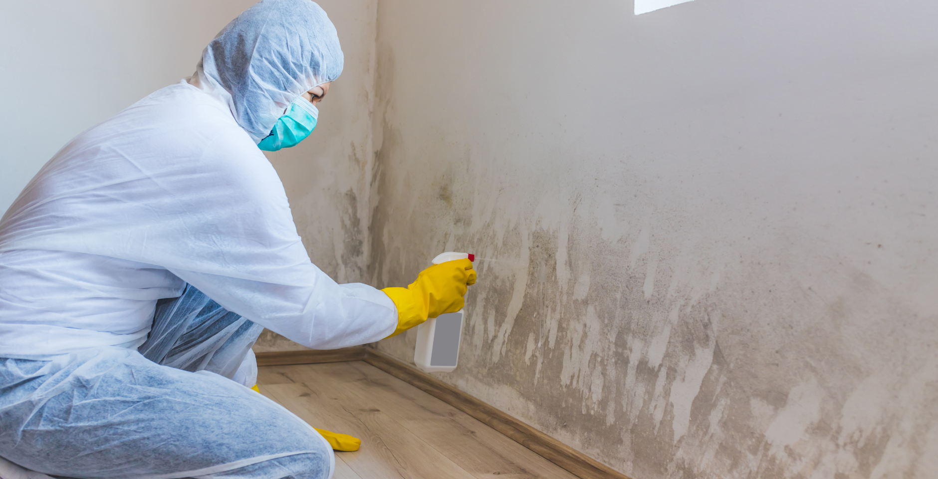 DIY Mistakes to Avoid When to Call in the Professionals for Mold Remediation